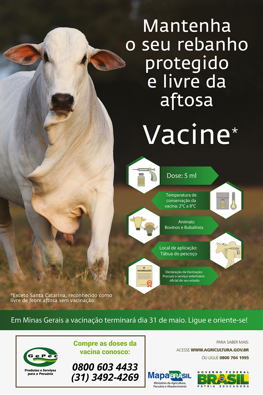 Campanha de Vacinação contra a febre aftosa - 2016