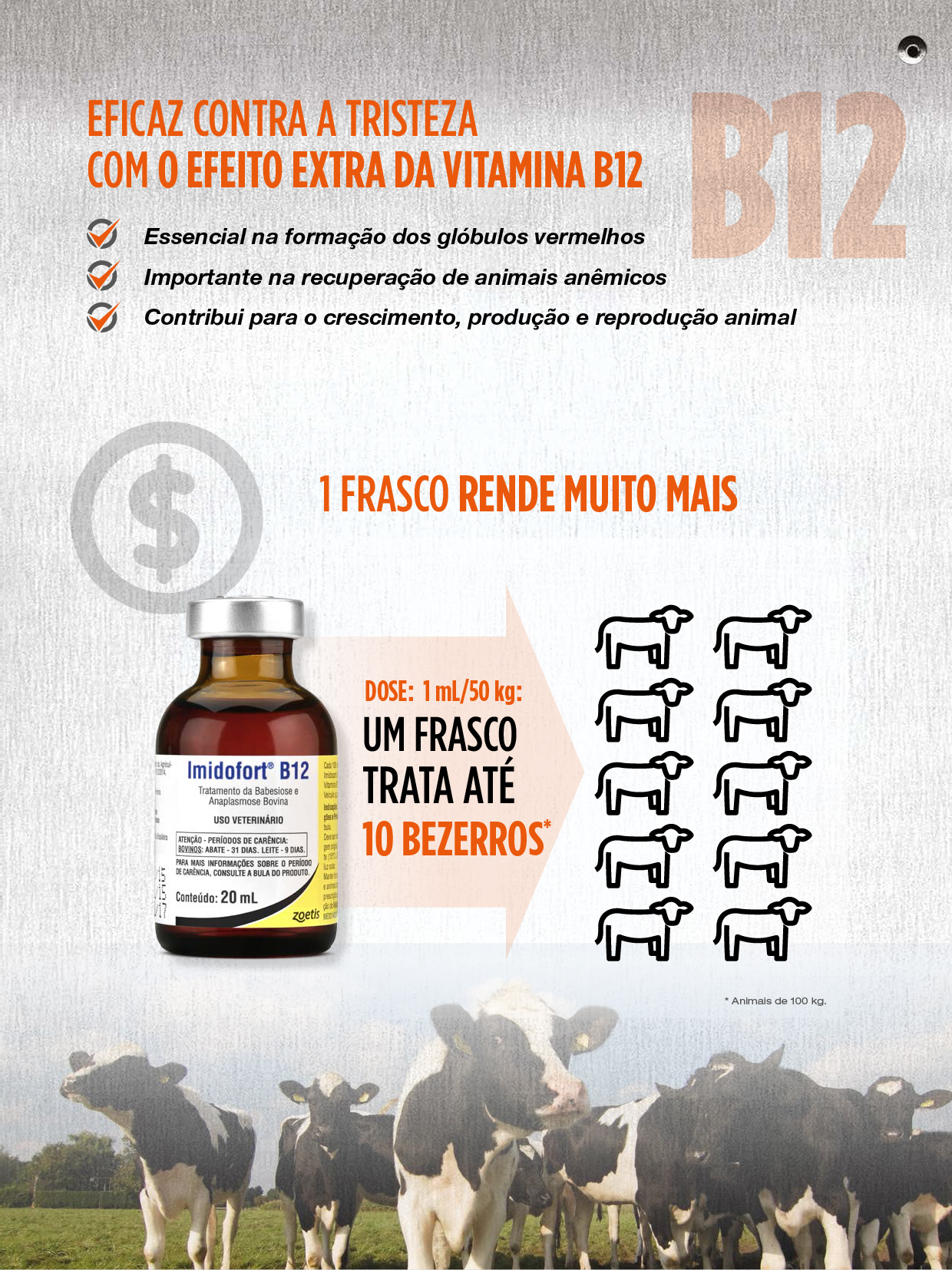 A Zoetis amplia seu portfólio de soluções para bovinos e traz ao mercado o novo hemoparasiticida Imidofort B12